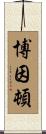 Boynton Scroll
