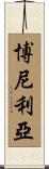 Bonilla Scroll