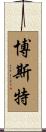 Borst Scroll