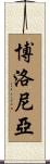 博洛尼亞 Scroll