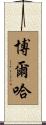 Borja Scroll