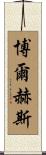 Borges Scroll