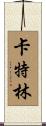 Catlin Scroll