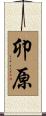 卯原 Scroll
