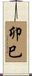 卯巳 Scroll