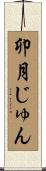 卯月じゅん Scroll