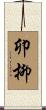 卯柳 Scroll