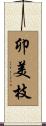 卯美枝 Scroll