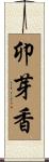 卯芽香 Scroll