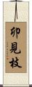 卯見枝 Scroll