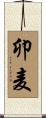 卯麦 Scroll