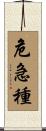 危急種 Scroll