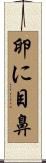 卵に目鼻 Scroll