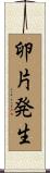 卵片発生 Scroll