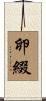 卵綴 Scroll