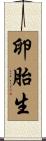 卵胎生 Scroll