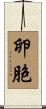 卵胞 Scroll