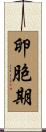 卵胞期 Scroll