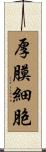 厚膜細胞 Scroll