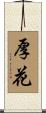 厚花 Scroll