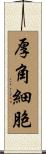 厚角細胞 Scroll