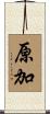 原加 Scroll