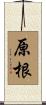 原根 Scroll