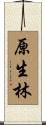 原生林 Scroll