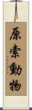原索動物 Scroll