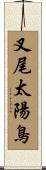 叉尾太陽鳥 Scroll