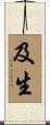 及生 Scroll