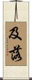 及落 Scroll
