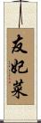 友妃菜 Scroll