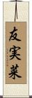 友実菜 Scroll
