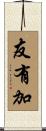 友有加 Scroll