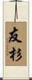 友杉 Scroll