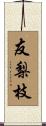 友梨枝 Scroll