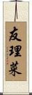 友理菜 Scroll