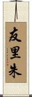 友里朱 Scroll