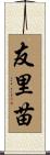 友里苗 Scroll
