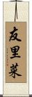友里菜 Scroll