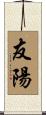 友陽 Scroll