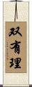双有理 Scroll