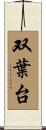 双葉台 Scroll