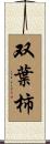 双葉柿 Scroll