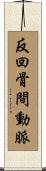 反回骨間動脈 Scroll