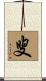 叟 Scroll