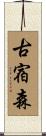 古宿森 Scroll