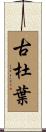 古杜葉 Scroll
