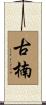 古楠 Scroll